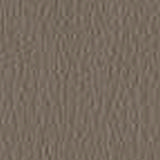 secret-7sh-turtle-dove.jpg